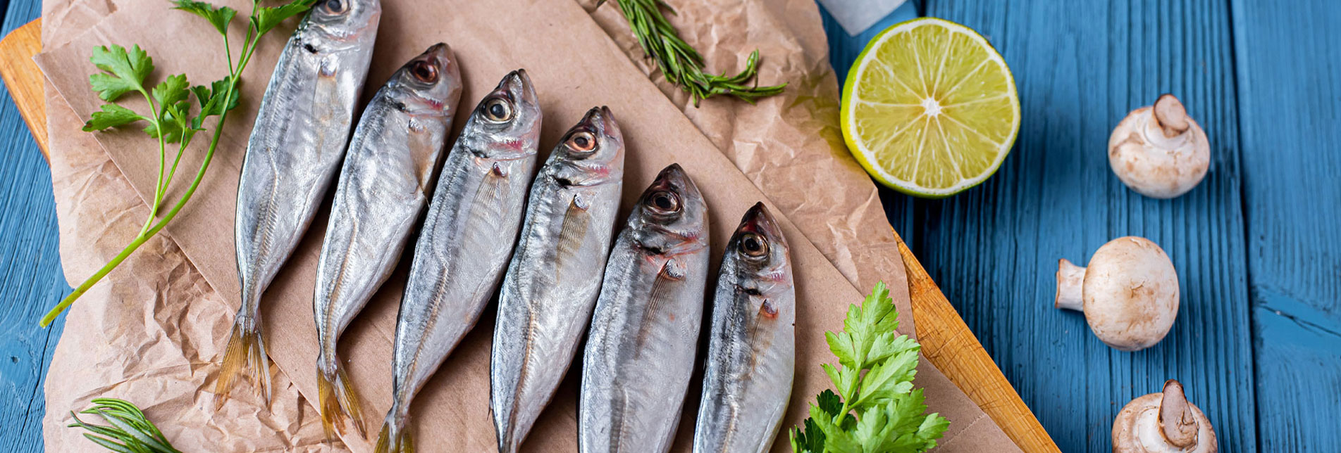 Shafi Marine Sea Food Export