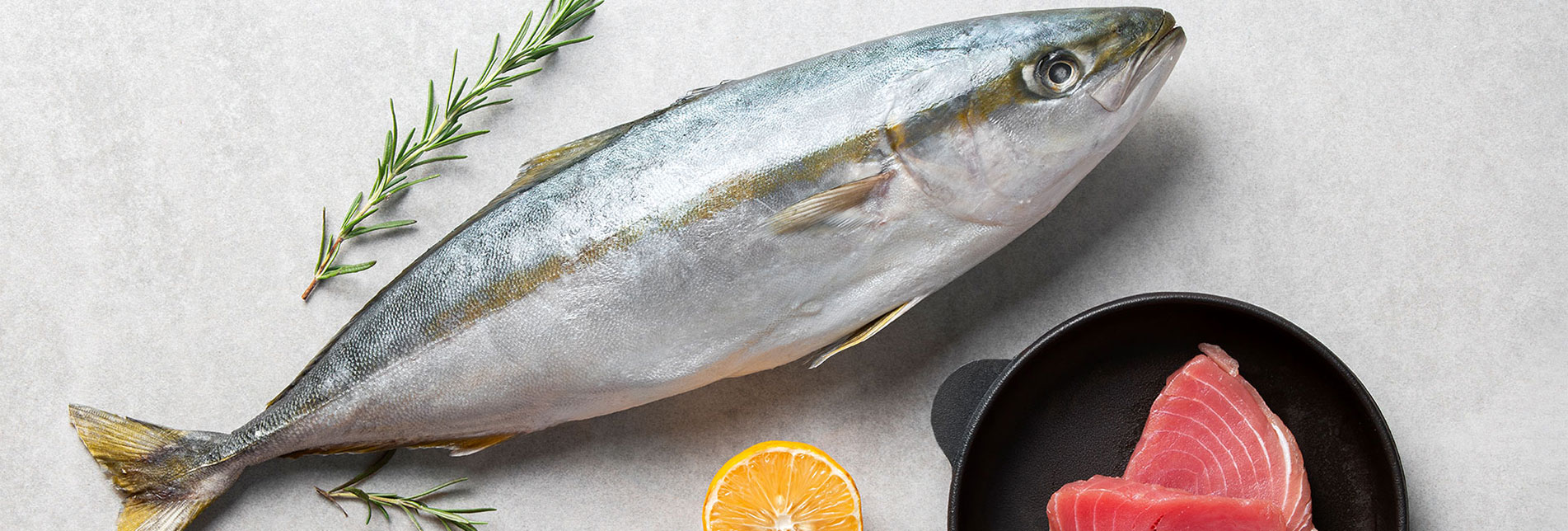 Shafi Marine Sea Food Export